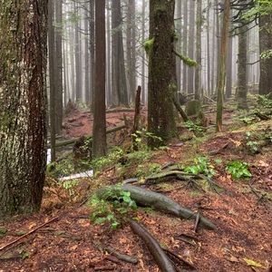 Meet your Posher, Steve